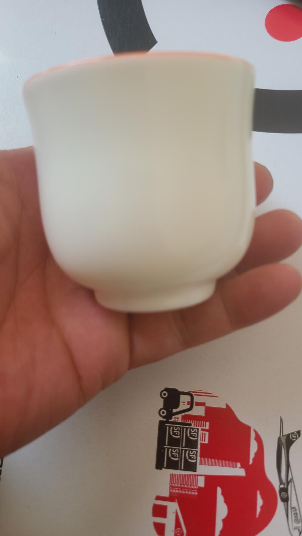 主人杯
