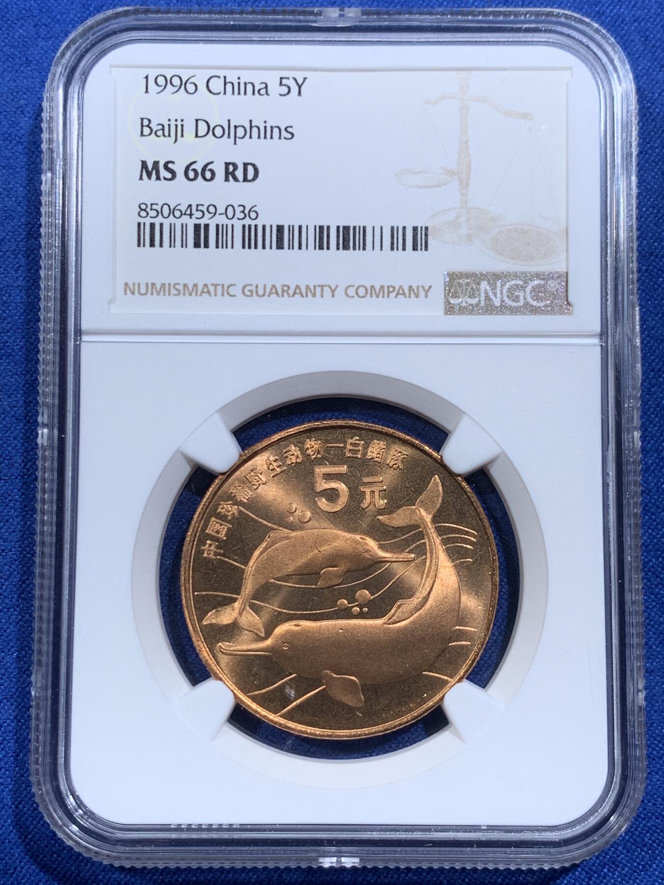 《竞宝斋》第420场 周日，周一，周二  3场连拍 （全场包邮） NGC MS66RD 中国1996年珍惜野生动物-白暨豚5元纪念币