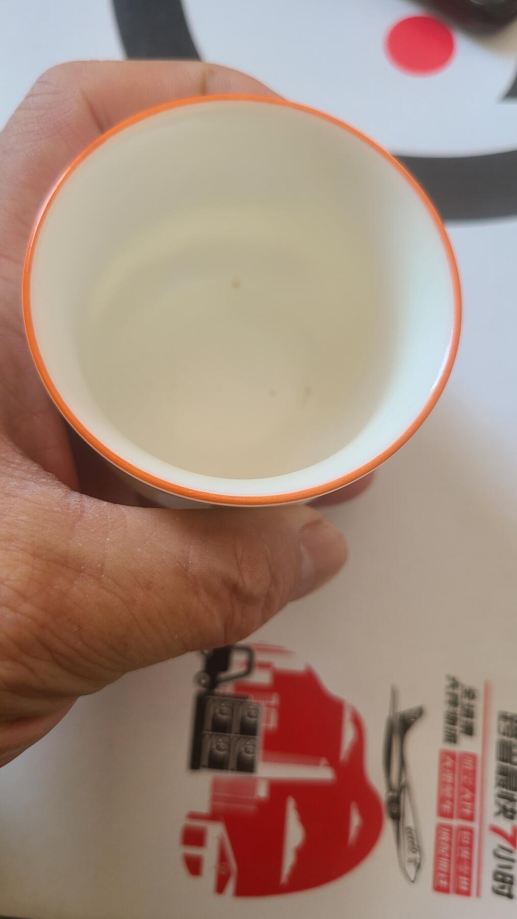 主人杯