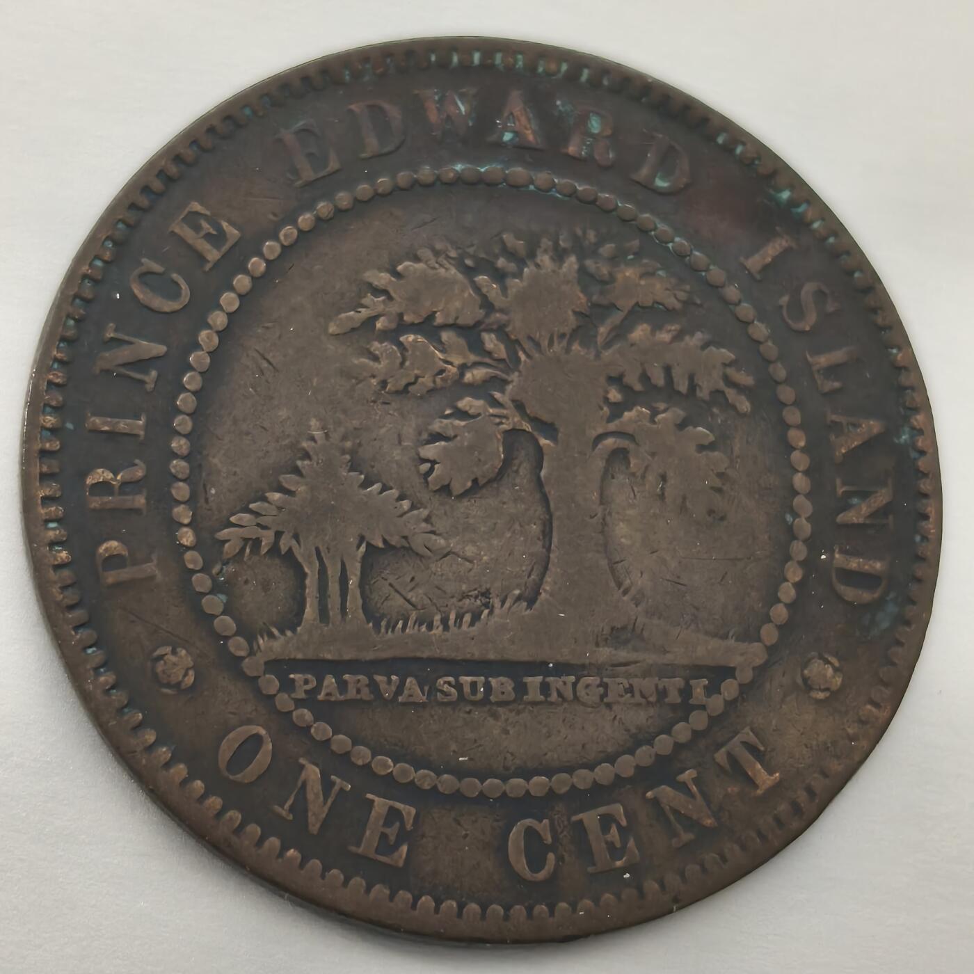 老蟹的宝藏🏴‍☠️ II-美国/奥地利/英国/其余国家评级币及散币 加拿大1871年爱德华王子岛维多利亚1分