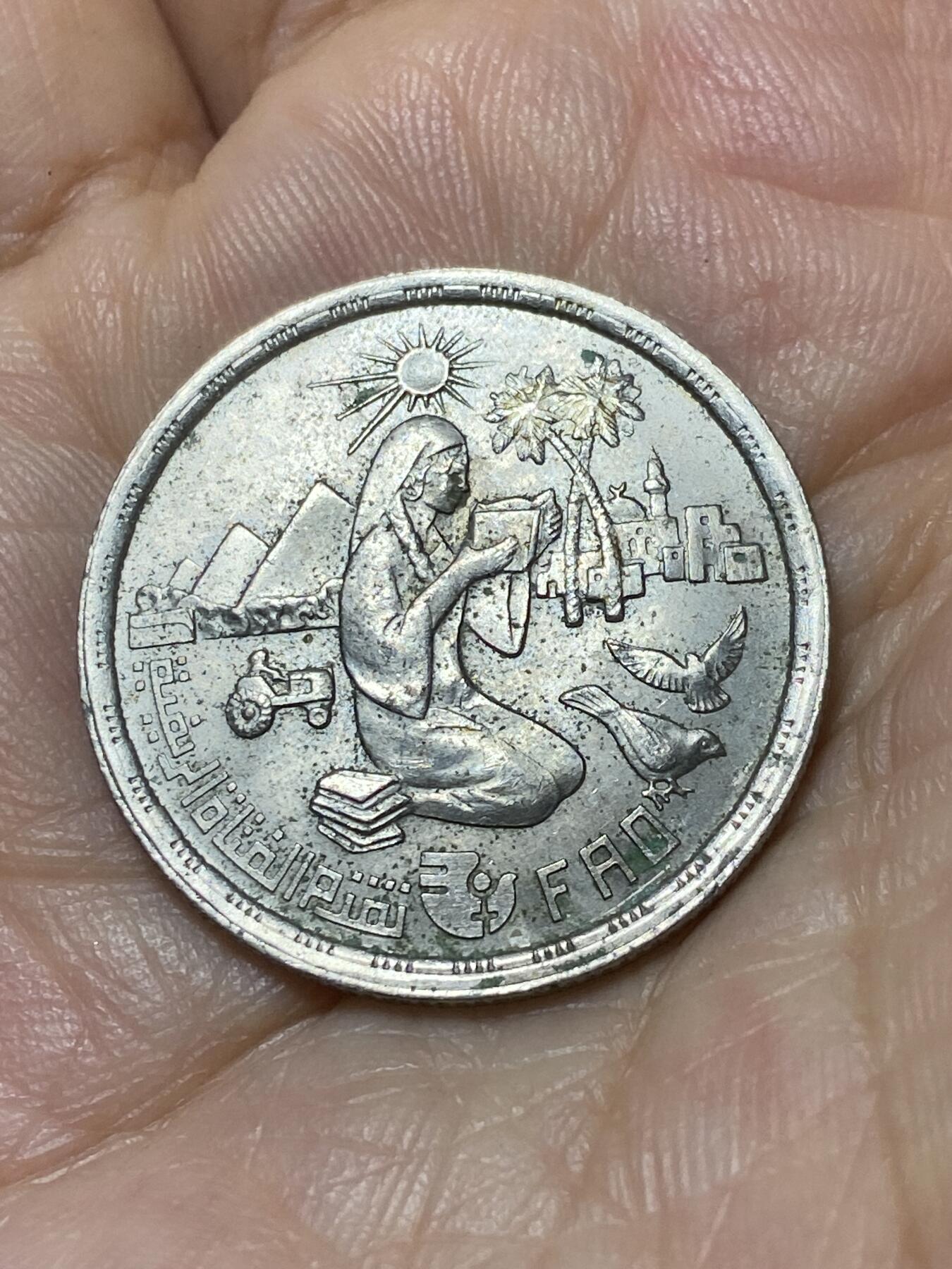 2025年第九十四场(总第一百二十场）外国好品散币(免佣金) 埃及🇪🇬1980单年份10皮阿斯特(FAO币)