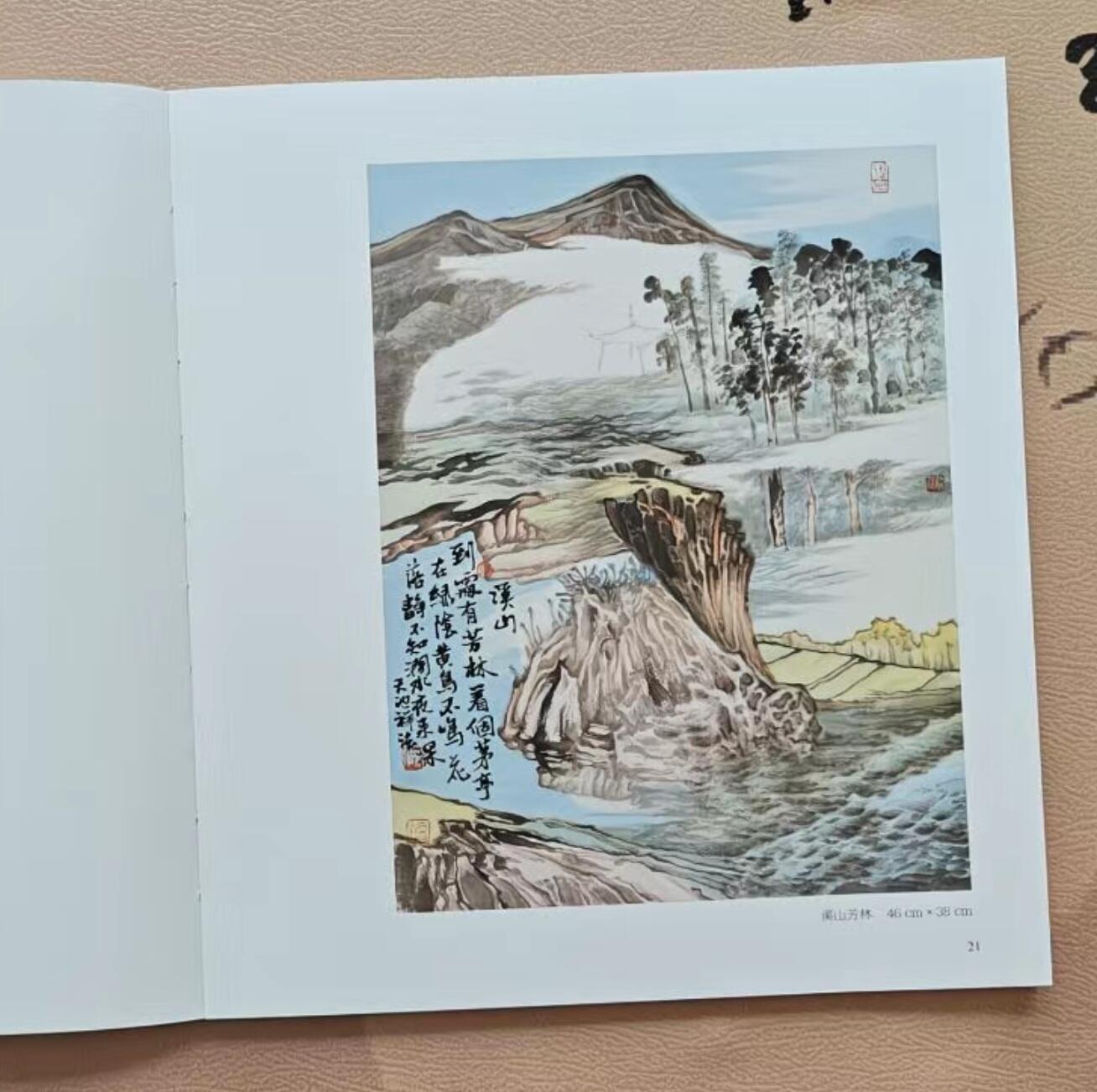 听雨轩    当代中国画名家小品集（全新正版）限时专场