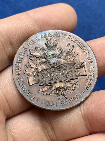 《竞宝斋》第420场 周日，周一，周二  3场连拍 （全场包邮） 法国希农区农业博览会纪念铜章 15.35克 36.5mm 带盒