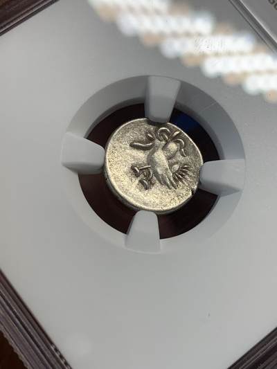 《竞宝斋》第420场 周日，周一，周二  3场连拍 （全场包邮） NGC AU55 柬埔寨 1600-1860 神鸟小鸟 2PE 打制银币