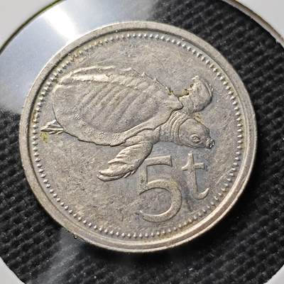 KK钱币收藏小铺 第343场 2月预留时间 周末发货 - 1984巴布亚新几内亚5托伊 