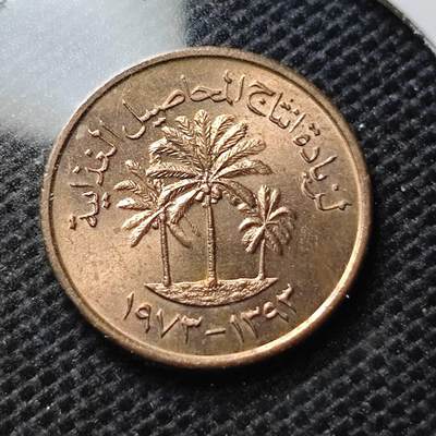 KK钱币收藏小铺 第343场 2月预留时间 周末发货 - 阿联酋1费尔 纪念币