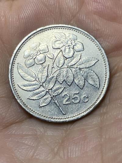 2025年第九十四场(总第一百二十场）外国好品散币(免佣金) - 马耳他🇲🇹1991年25分(第三套，首发年)