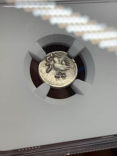 《竞宝斋》第420场 周日，周一，周二  3场连拍 （全场包邮） NGC AU55 柬埔寨 1600-1860 神鸟小鸟 2PE 打制银币