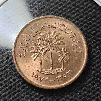 KK钱币收藏小铺 第344场 2月预留时间 周末发货 - 阿联酋1费尔 纪念币 好品