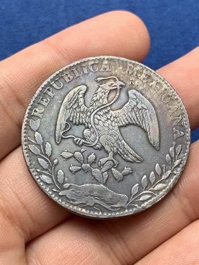 《竞宝斋》第420场 周日，周一，周二  3场连拍 （全场包邮） 墨西哥1886年鹰洋 GO厂，有小戳，细节见图。