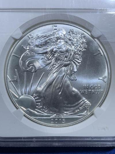 《竞宝斋》第420场 周日，周一，周二  3场连拍 （全场包邮） NGC MS69 美国 2013年行走女神 1盎司投资银币 早期蓝色镭射标