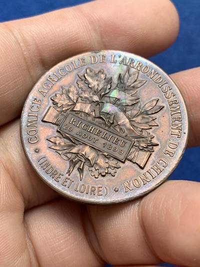 《竞宝斋》第420场 周日，周一，周二  3场连拍 （全场包邮） 法国希农区农业博览会纪念铜章 15.35克 36.5mm 带盒