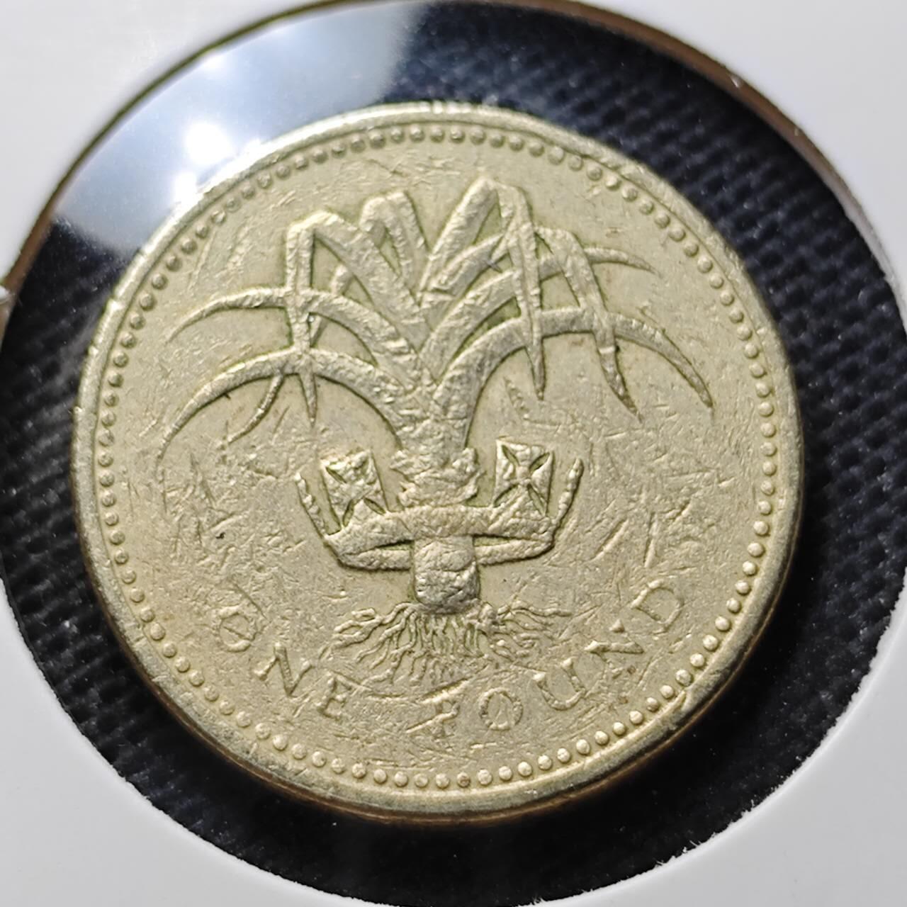 KK钱币收藏小铺 第343场 2月预留时间 周末发货