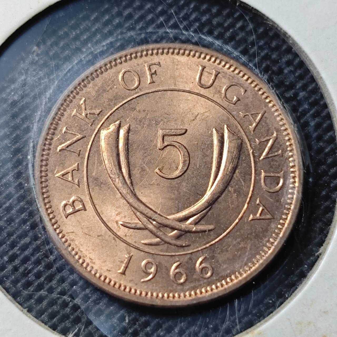 KK钱币收藏小铺 第345场 2月预留时间 周末发货 1966乌干达5分铜币 好品 