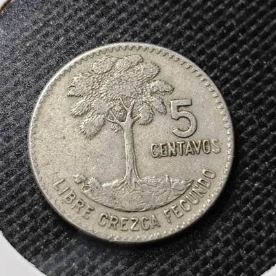 KK钱币收藏小铺 第345场 2月预留时间 周末发货 -  1968危地马拉5分