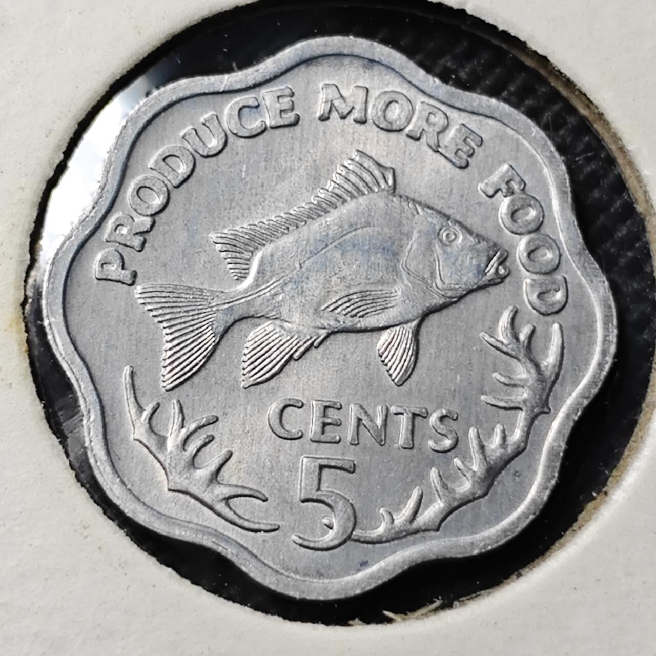 KK钱币收藏小铺 第345场 2月预留时间 周末发货  1944塞舌尔5分铝币 好品！