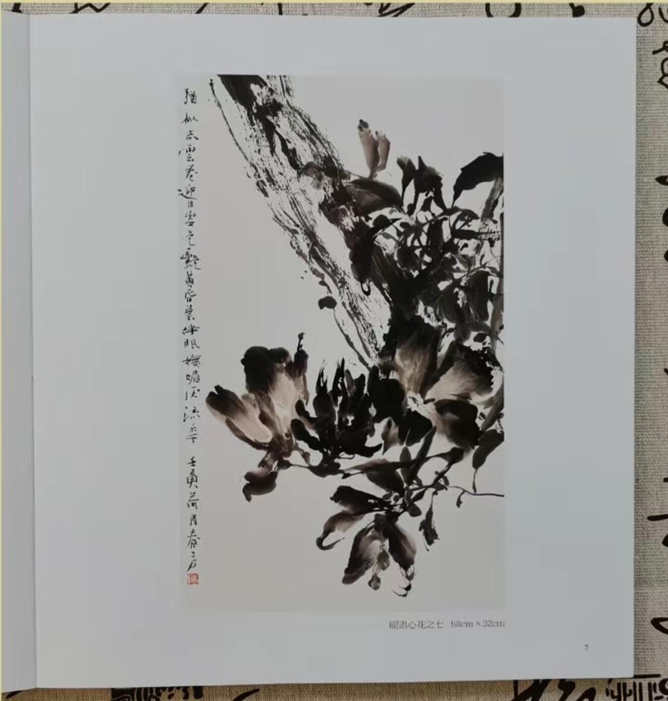 听雨轩    当代中国画名家小品集（全新正版）限时专场 刘春芳花鸟画小品集画册