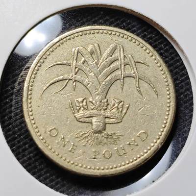 KK钱币收藏小铺 第345场 2月预留时间 周末发货 - 1990英国1镑 