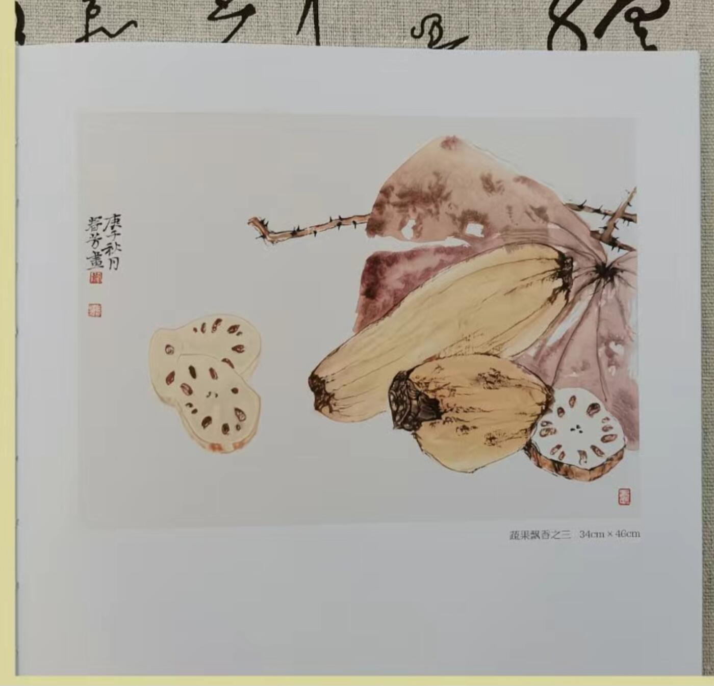 听雨轩    当代中国画名家小品集（全新正版）限时专场 刘春芳花鸟画小品集画册