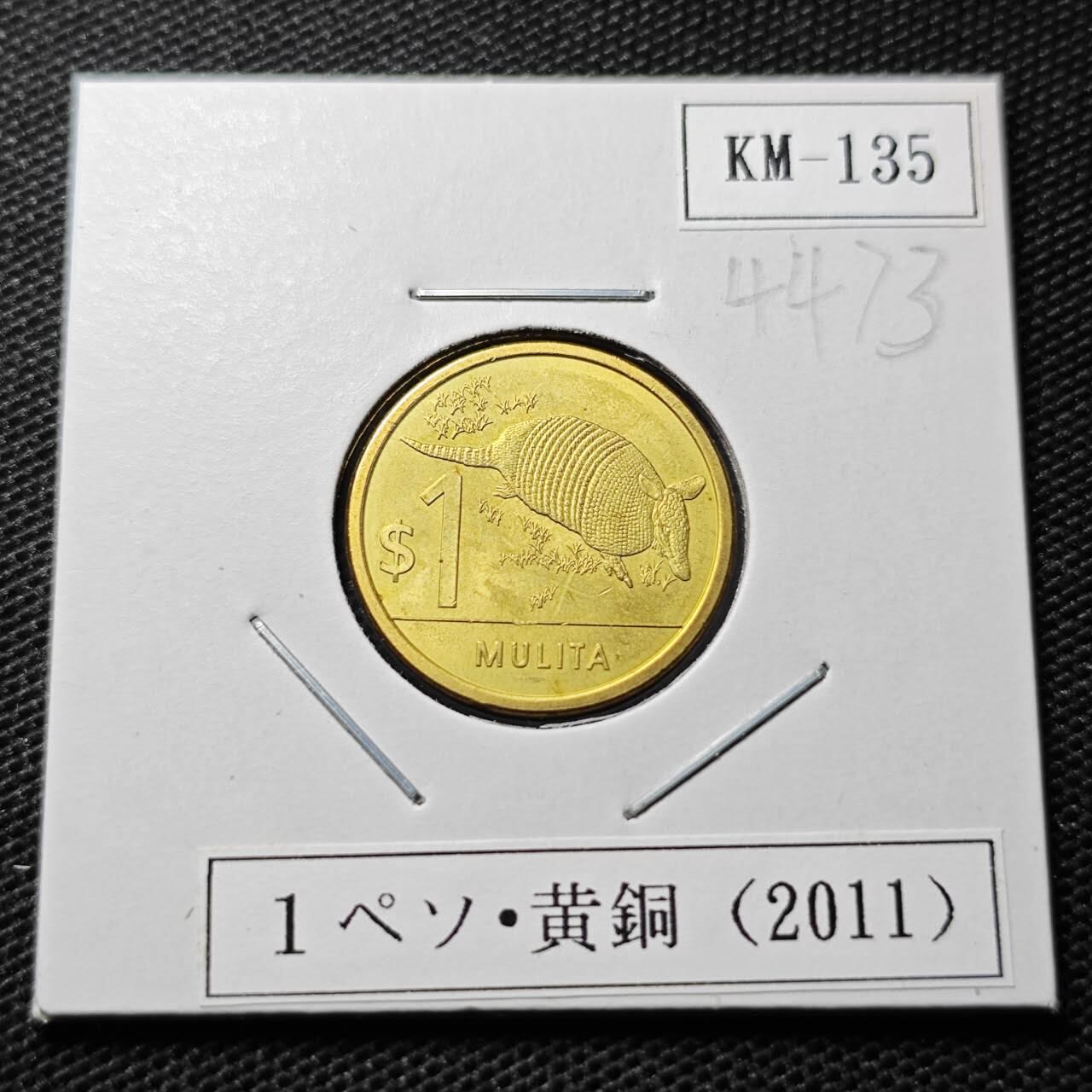 KK钱币收藏小铺 第344场 2月预留时间 周末发货 2011乌拉圭1比索 