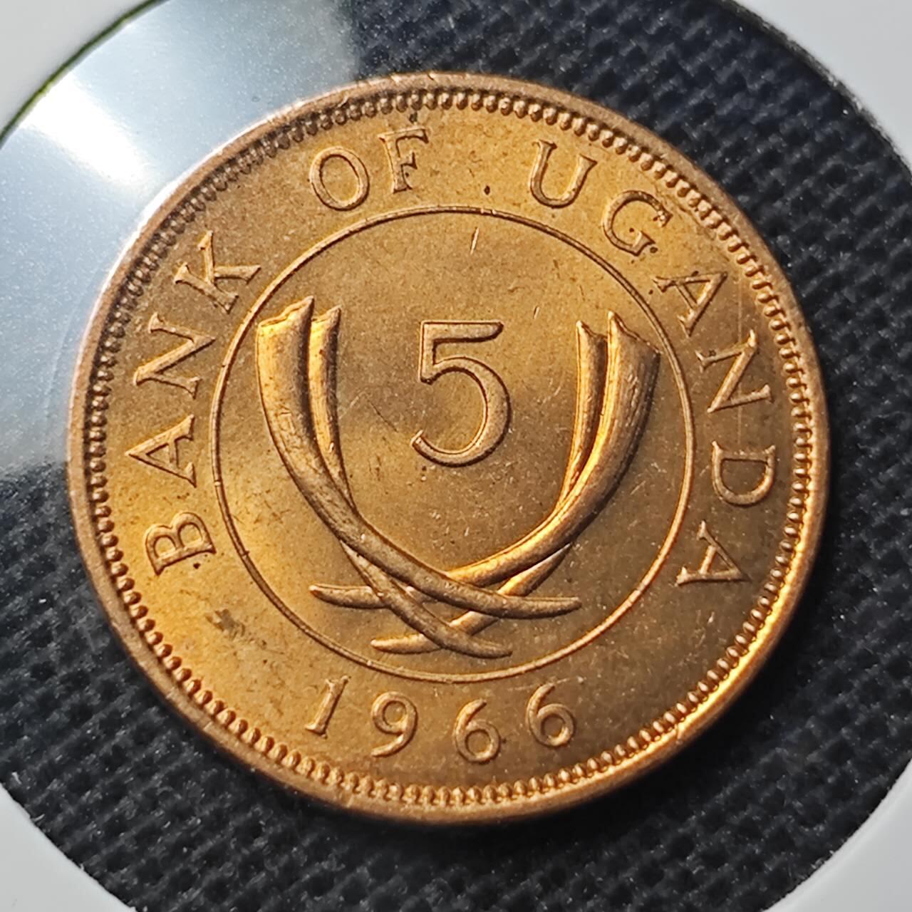 KK钱币收藏小铺 第344场 2月预留时间 周末发货 1966乌干达5分 好品