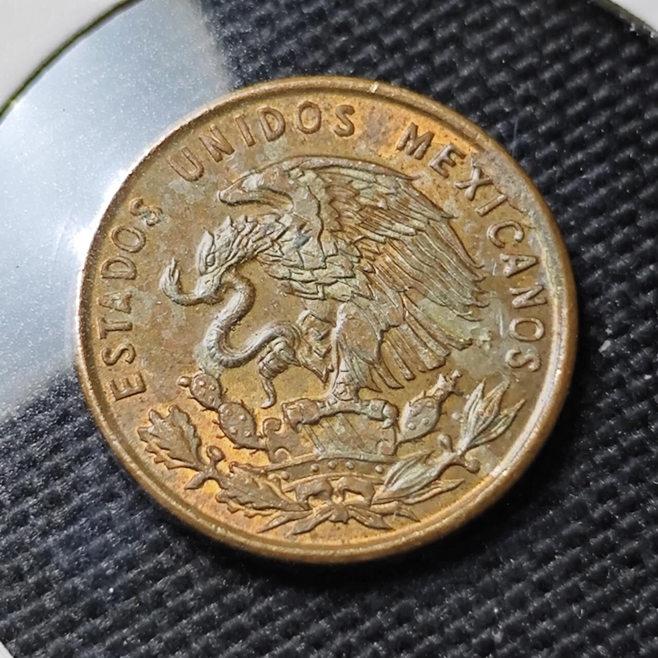 KK钱币收藏小铺 第346场 2月预留时间 周末发货  1969墨西哥1分铜币