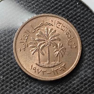 KK钱币收藏小铺 第345场 2月预留时间 周末发货 -  阿联酋1费尔纪念币