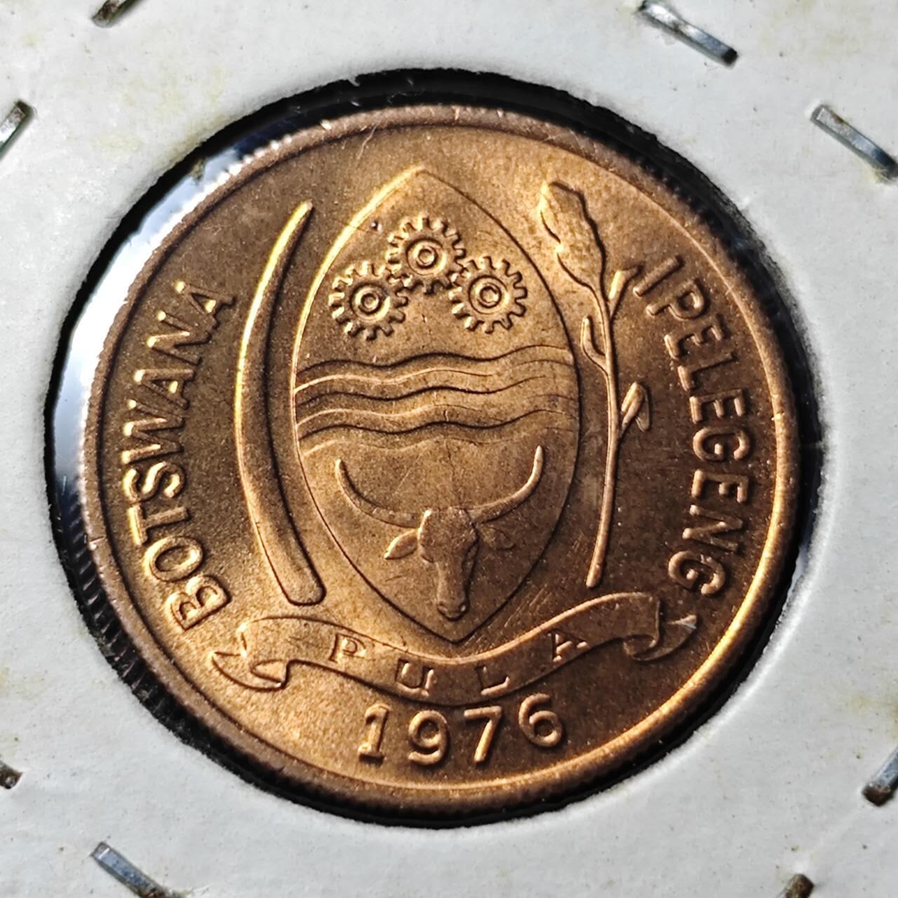 KK钱币收藏小铺 第345场 2月预留时间 周末发货  1976博茨瓦纳5分好品铜币