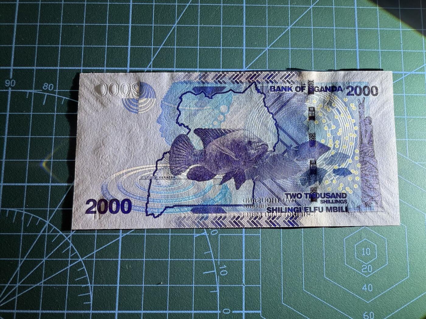 【炜奕收藏】，第四十五期 2010年乌干达2000先令，UNC品相，首发AA冠千位倒置号