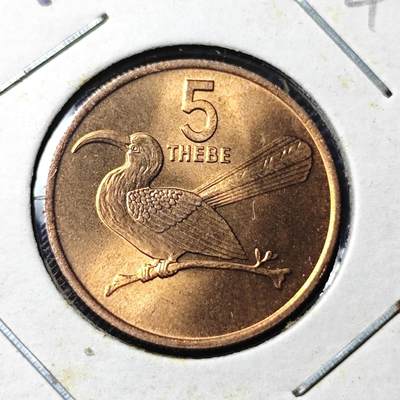 KK钱币收藏小铺 第345场 2月预留时间 周末发货 -  1976博茨瓦纳5分好品铜币