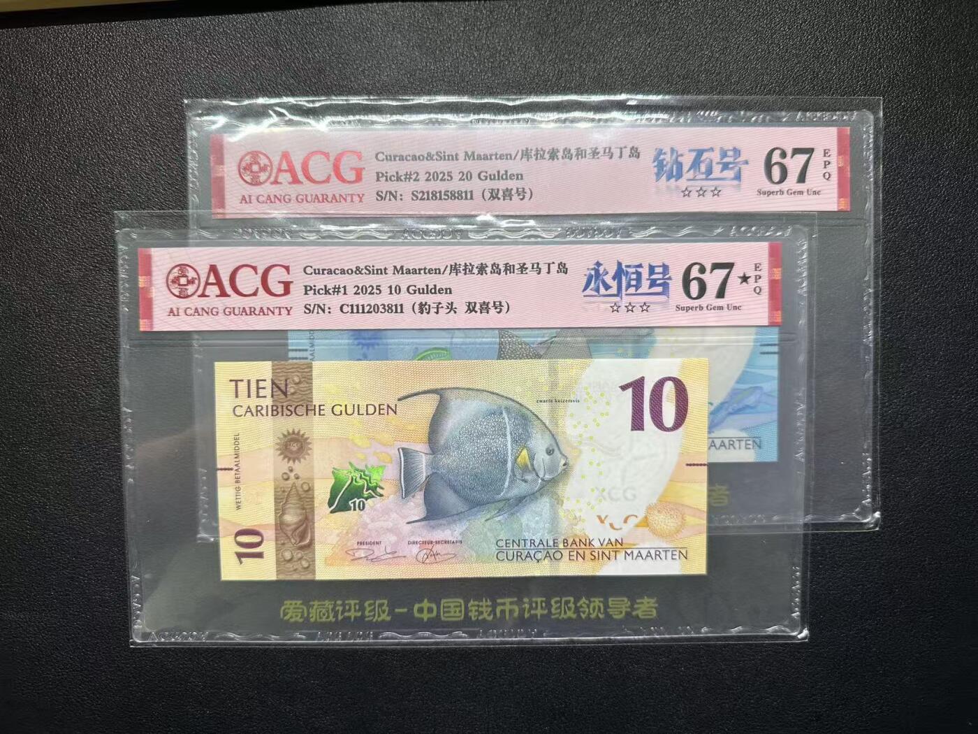 【礼羽收藏】🌏世界钱币拍卖第104期