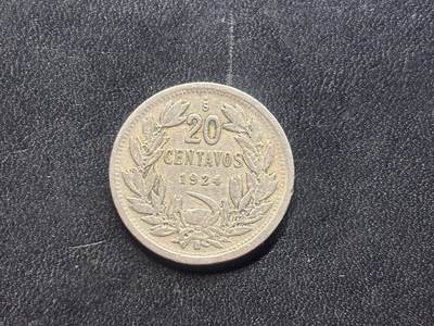 邮泉阁限时拍卖第二十六场 各国硬币专场（硬币在国外） - 智利1924年20分
