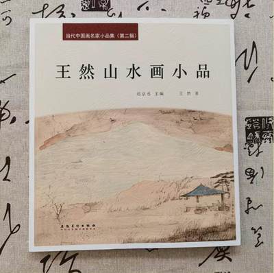 听雨轩    当代中国画名家小品集（全新正版）限时专场 - 王然山水画小品集画册