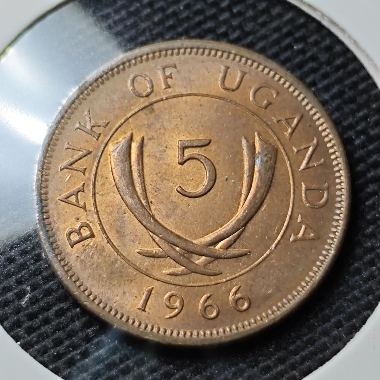 KK钱币收藏小铺 第347场 2月预留时间 周末发货 1966乌干达5分 铜币