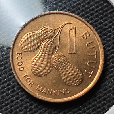 KK钱币收藏小铺 第347场 2月预留时间 周末发货 - 1974冈比亚1布图 好品铜币
