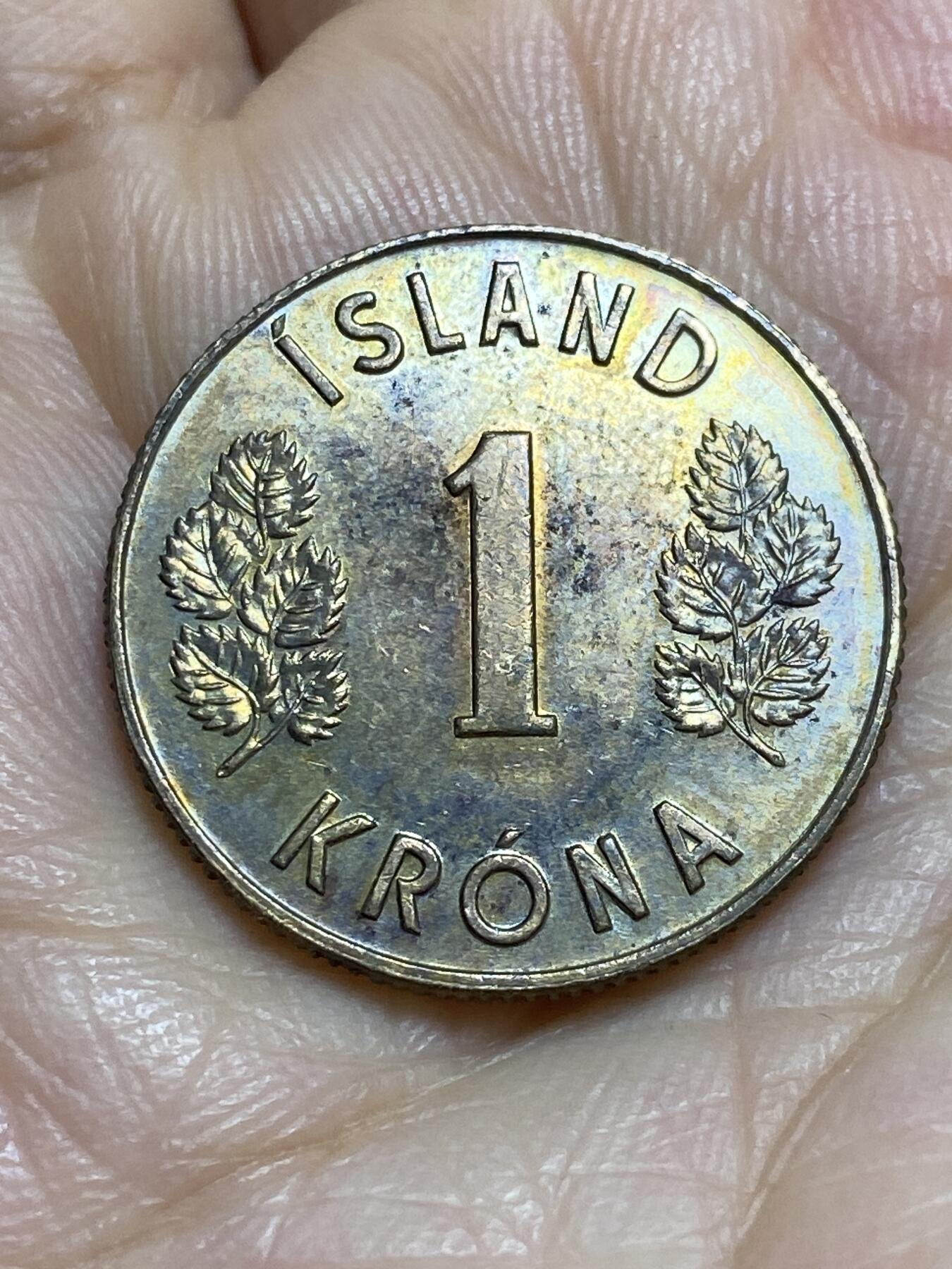 2025年第九十五场(总第一百二十一场）外国好品散币(免佣金) 冰岛🇮🇸1974年1克朗(共和国时期第一套第二版)