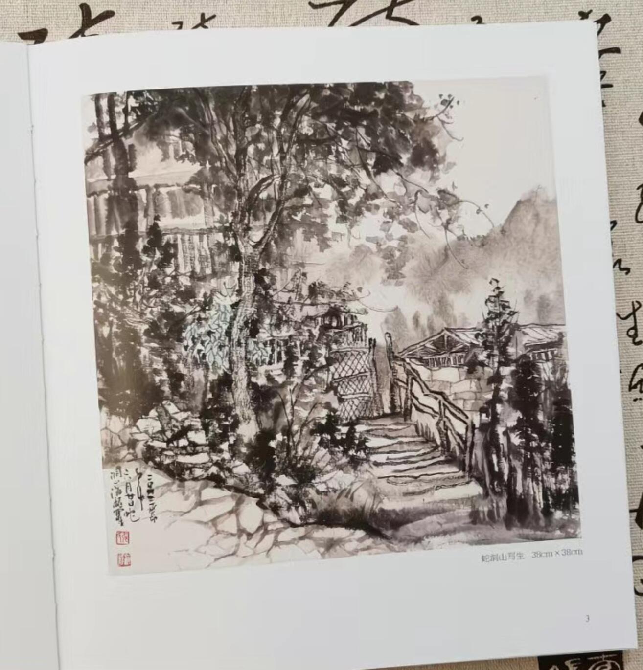 听雨轩    当代中国画名家小品集（全新正版）限时专场