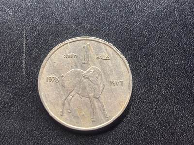 邮泉阁限时拍卖第二十六场 各国硬币专场（硬币在国外） - 索马里1976年1先令