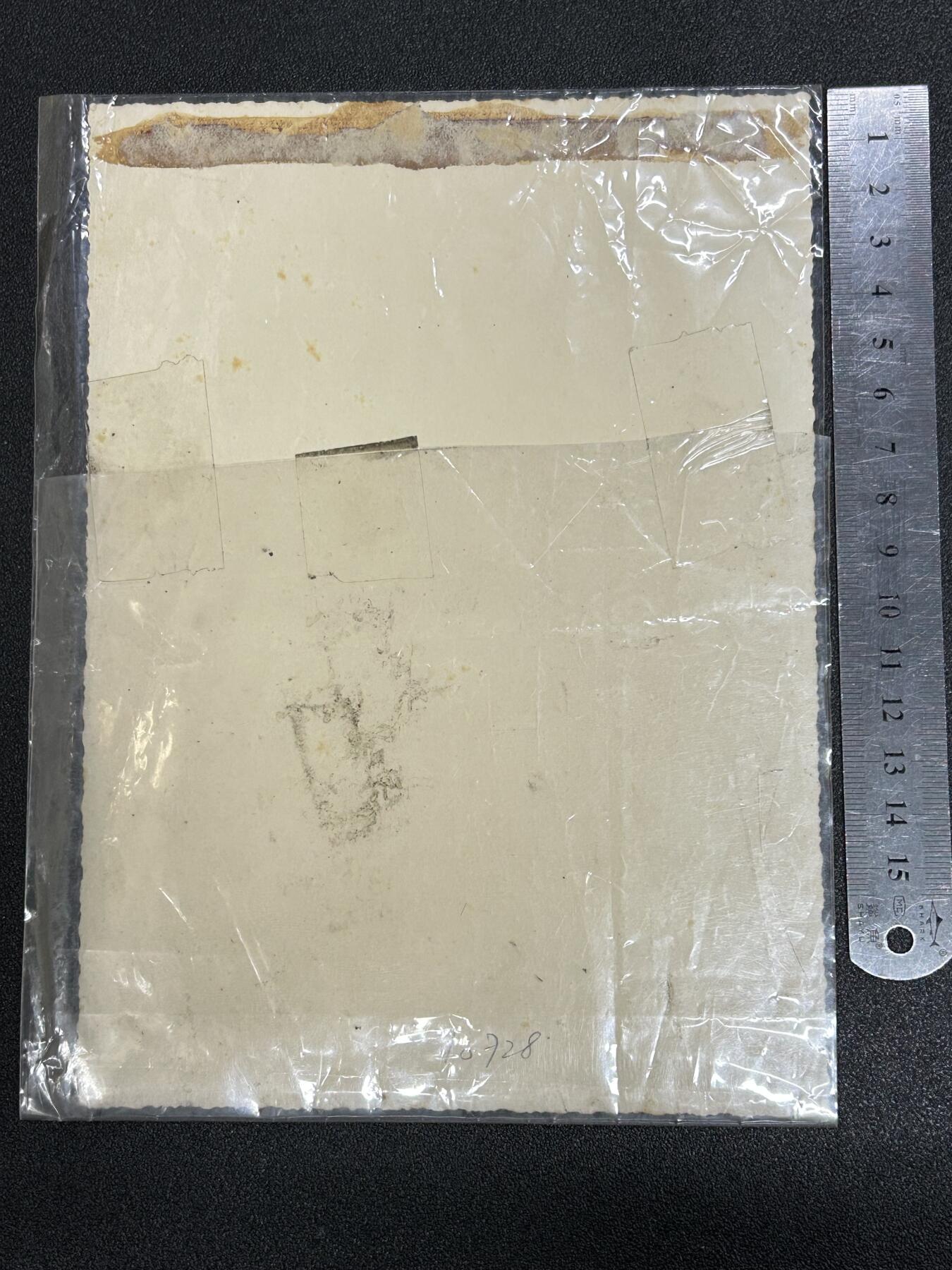 狮子猫股票债券纸品杂物第五期