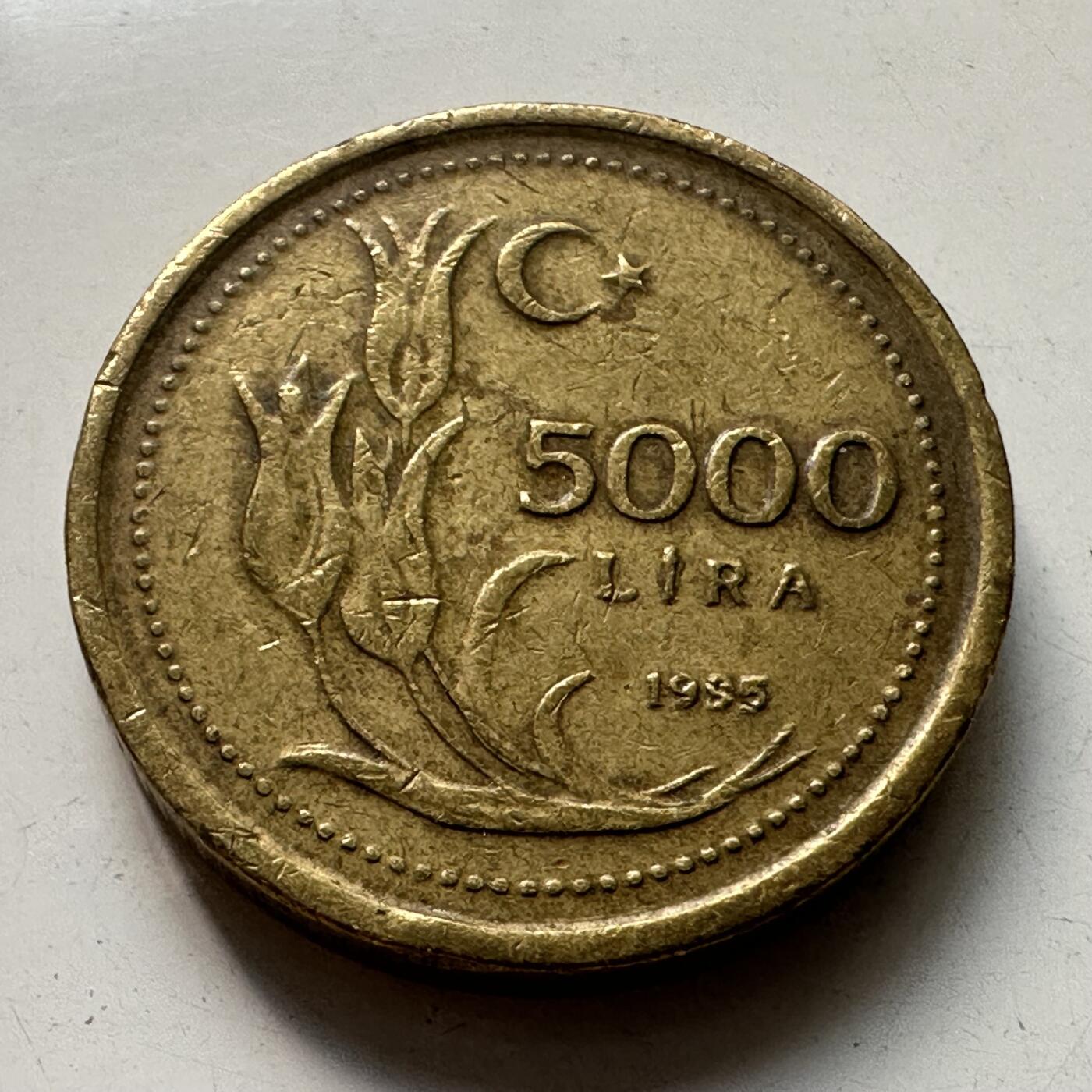 🌹外币初藏🌹🐯2025年第105场 周二无佣金特价场 土耳其1995年5000里拉