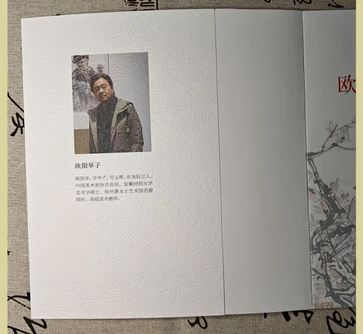 听雨轩    当代中国画名家小品集（全新正版）限时专场 欧阳举子水墨人物小品画册