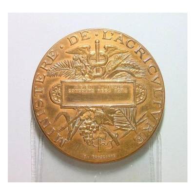 【旋风钱币】10月4日19:00准时开拍 精美欧洲币章 第三帝国货币等 全场包邮！ 法国1896年 小飞侠女神头像高浮雕精制大铜章 50MM