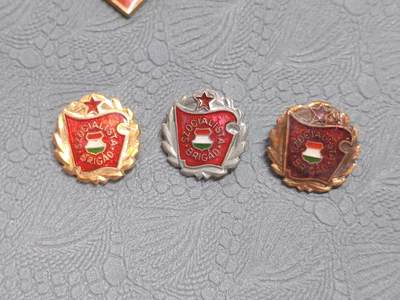 韵星假日拍卖第二十五期 -- Rimey Holidays Auction 25 - 匈牙利人民共和国金银铜级社会主义工人旅证章mini一组