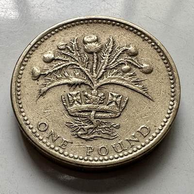 🌹外币初藏🌹🐯2025年第106场  每周二四六晚8️⃣点 接代拍 - 英国1989年一英镑