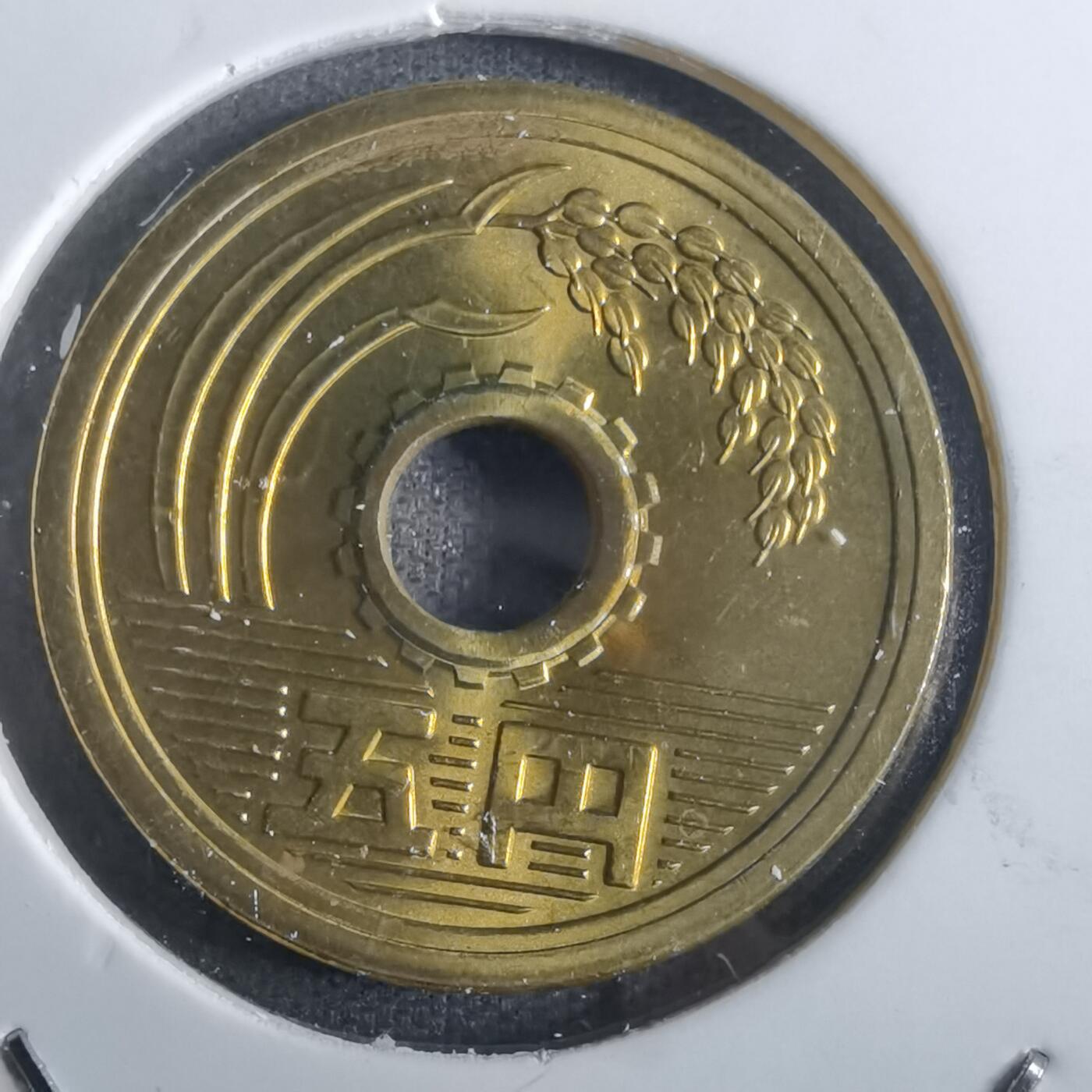 沼泽如烟--第850场