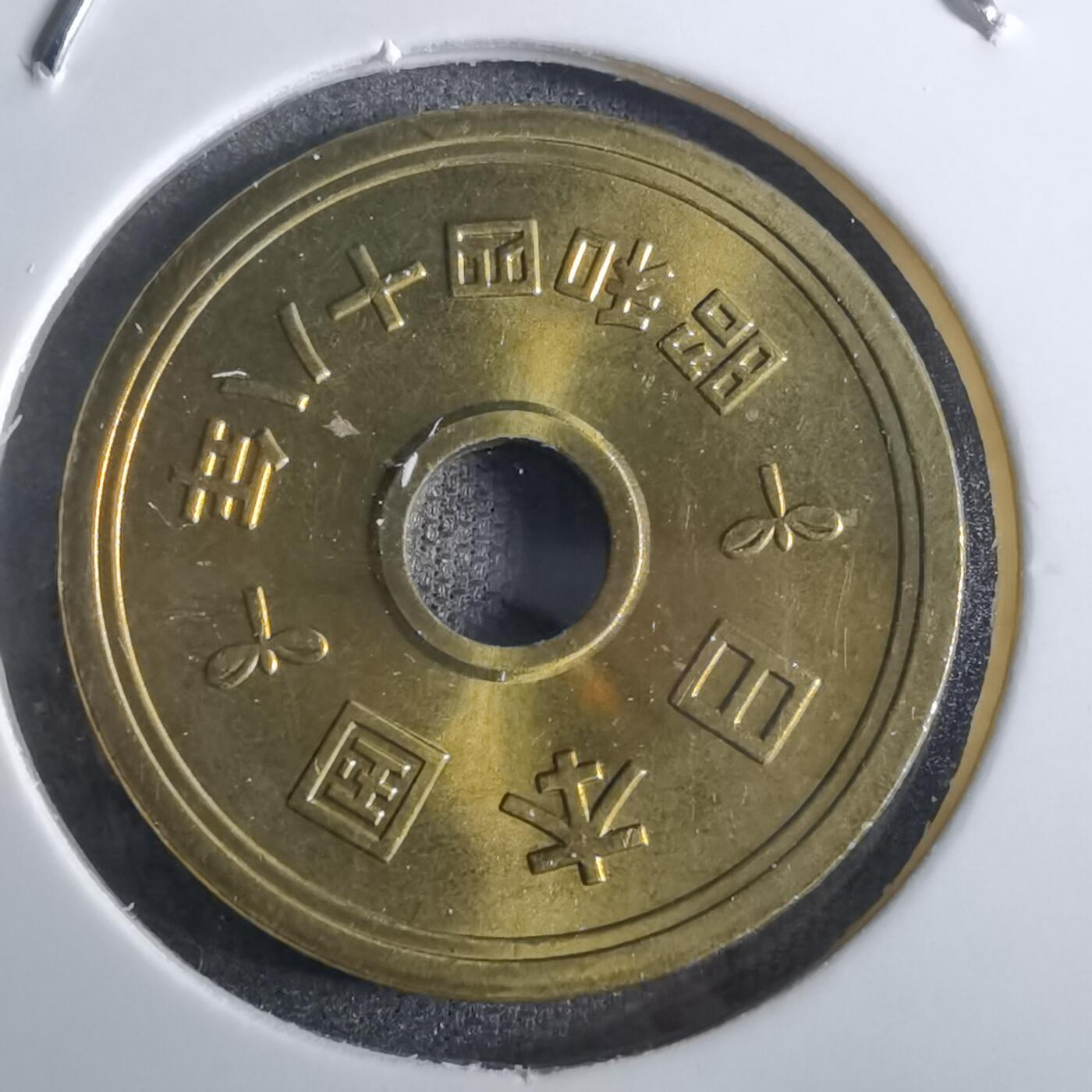 沼泽如烟--第850场