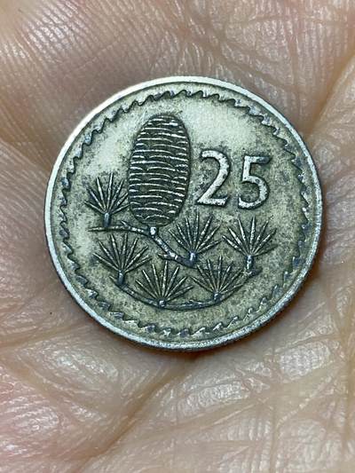 2025年第九十六场(总第一百二十二场）外国好品散币(免佣金) - 塞浦路斯🇨🇾1971年25米尔(共和国时期第一套)