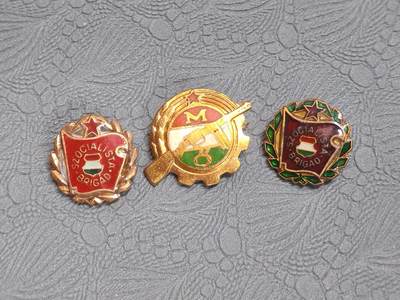 韵星假日拍卖第二十五期 -- Rimey Holidays Auction 25 - 匈牙利人民共和国金铜级社会主义工人旅证章mini与射击技能证章