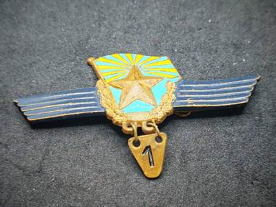 凯旋世界勋赏（第19期）（欢迎送拍）（对拍品有疑问请询问客服，不接受到手刀，出价默认拍品品相。请认真阅读拍卖规则！出价默认已认可！）（收到货请录制开箱视频，无视频概不处理问题。） - 苏联空军超期服役证章