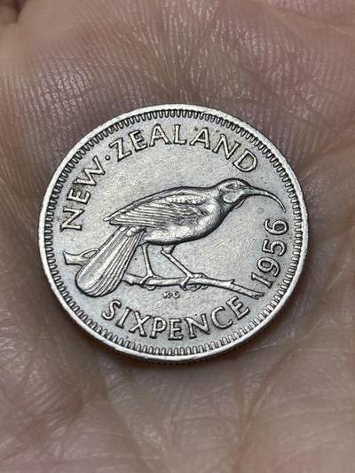 2025年第九十七场(总第一百二十三场）外国好品散币(免佣金) - 新西兰🇳🇿1956年6便士(伊丽莎白二世青年桂冠，第二版首发年)